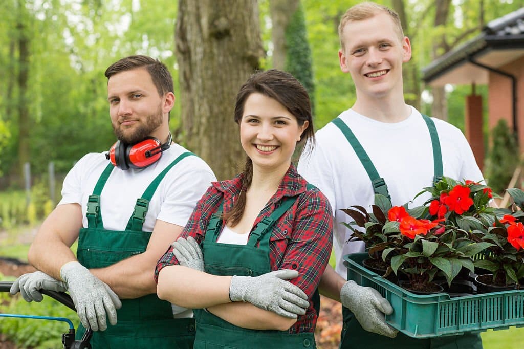 Notre équipe de jardinier