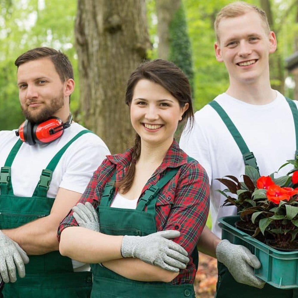 Notre équipe de jardinier